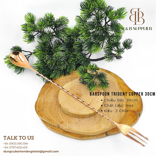 Barspoon Trident Copper 30cm