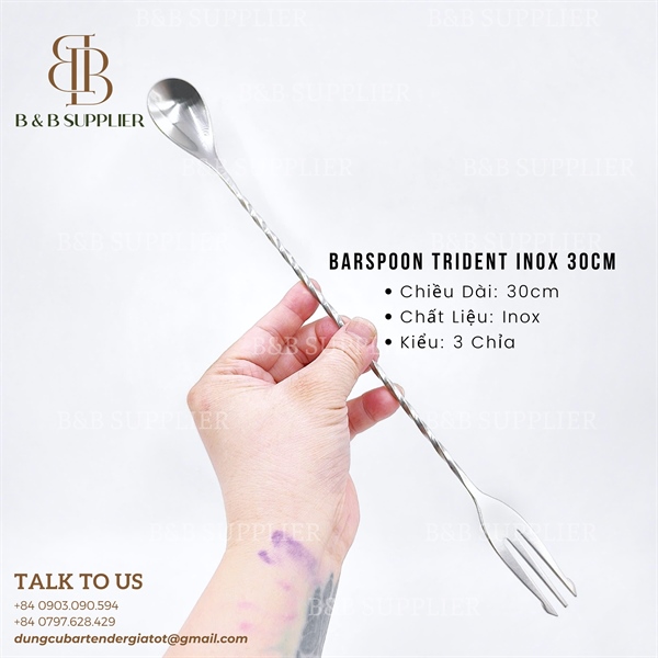 Barspoon Trident Inox 30cm 3