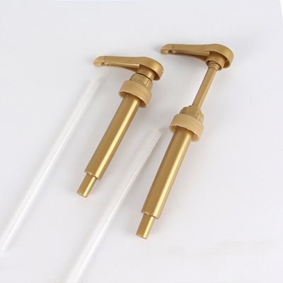 Pump Torani