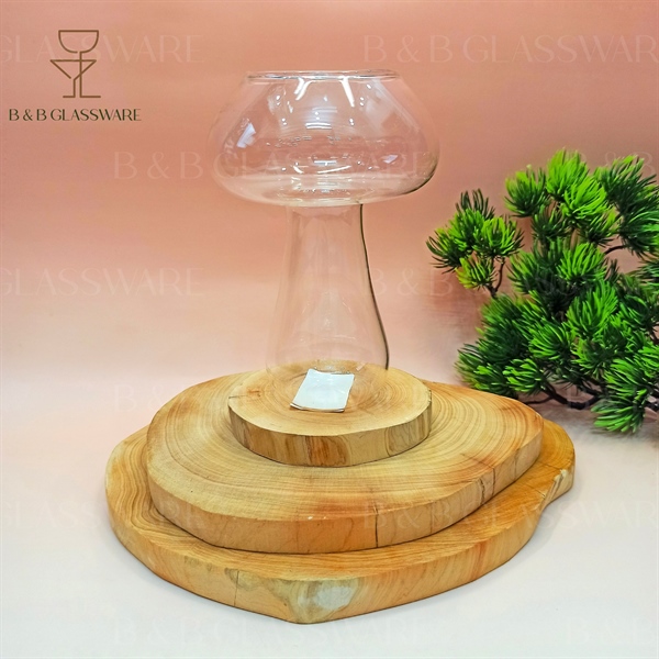Ly Hình Nấm Size Nhỏ