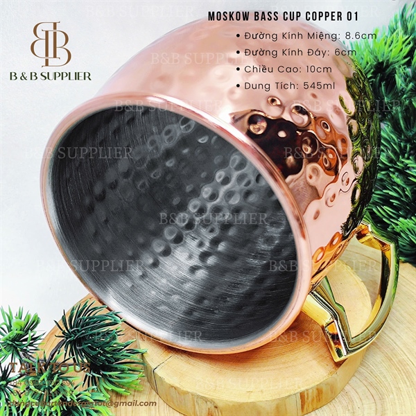 Moskow Bass Cup Copper 01 - ảnh 2